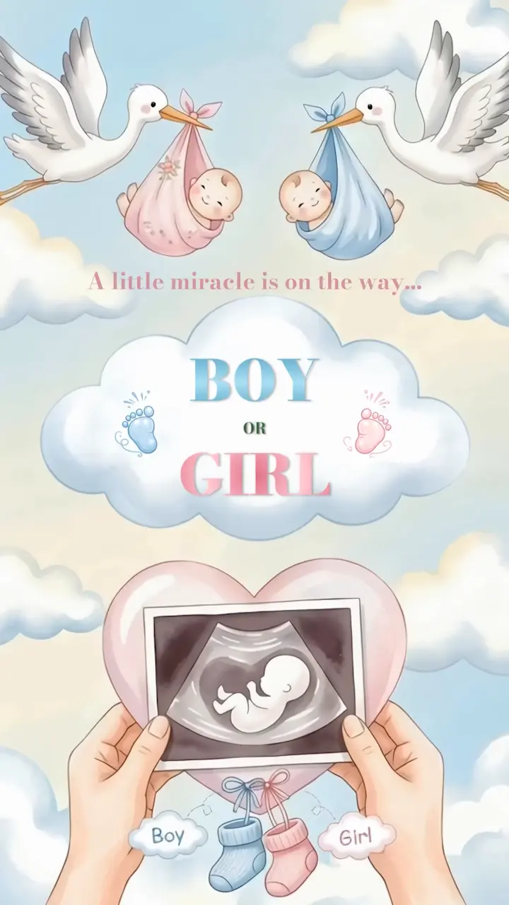IM199 | Gender Reveal Invitation